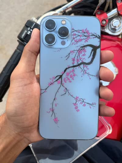 Apple iPhone 13 Pro Max
