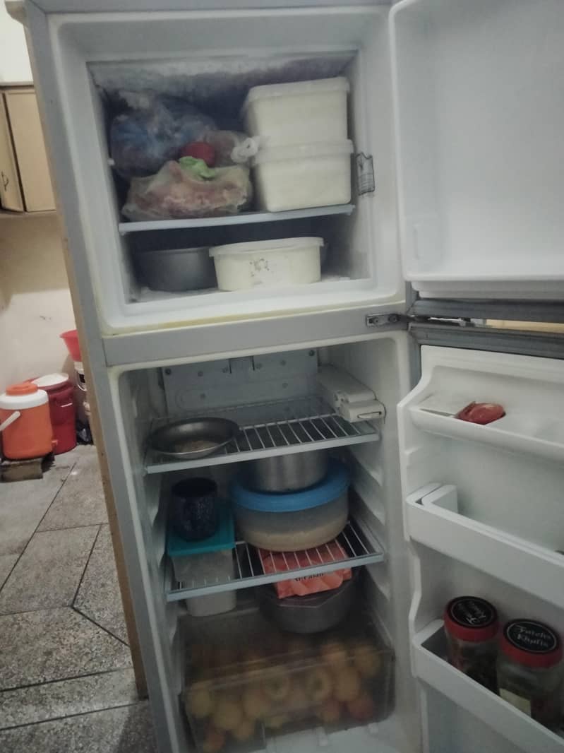 Fridge 1