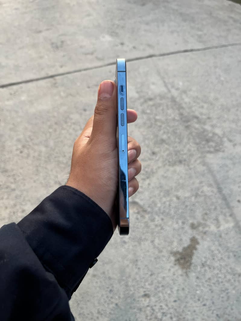 Apple iPhone 13 Pro Max 1