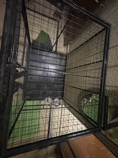 Brand New 16-Gauge Iron Profile Animal Cage – 4 × 3 × 3.5 ft