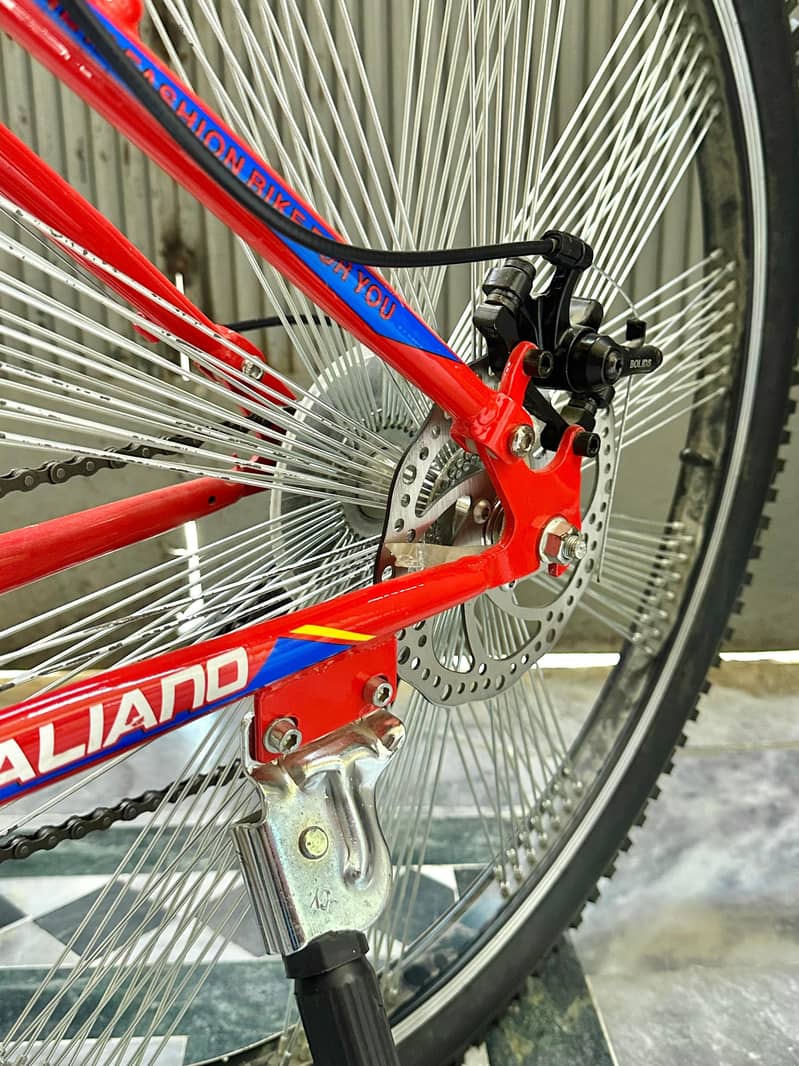New bicycle 2