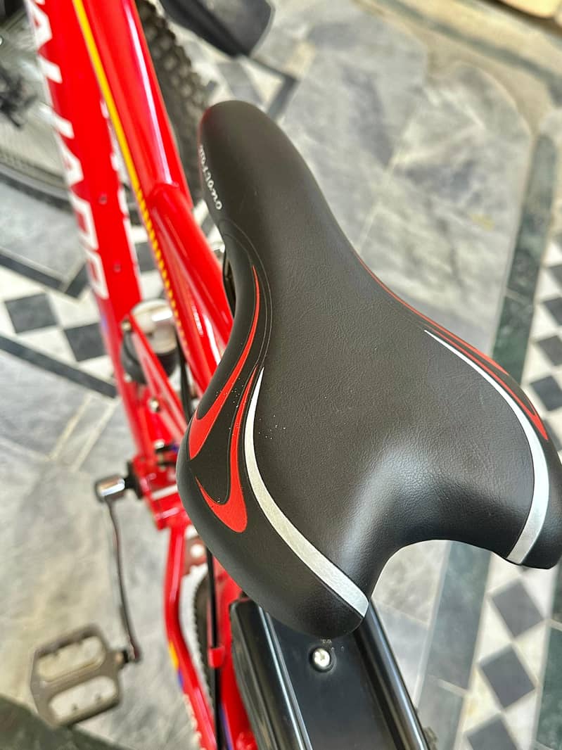 New bicycle 6