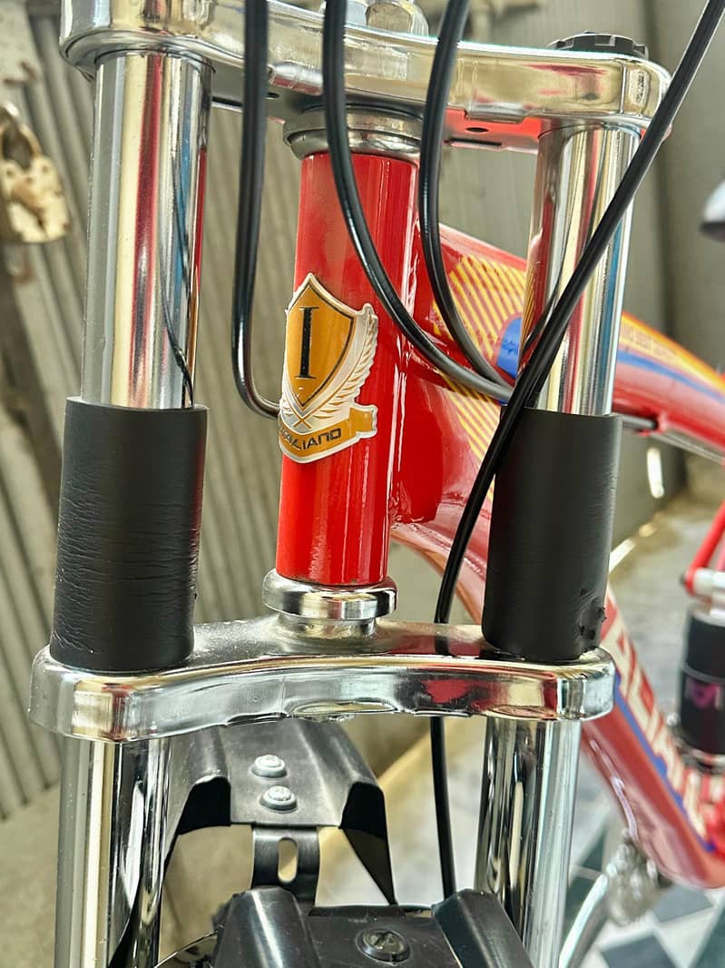 New bicycle 11