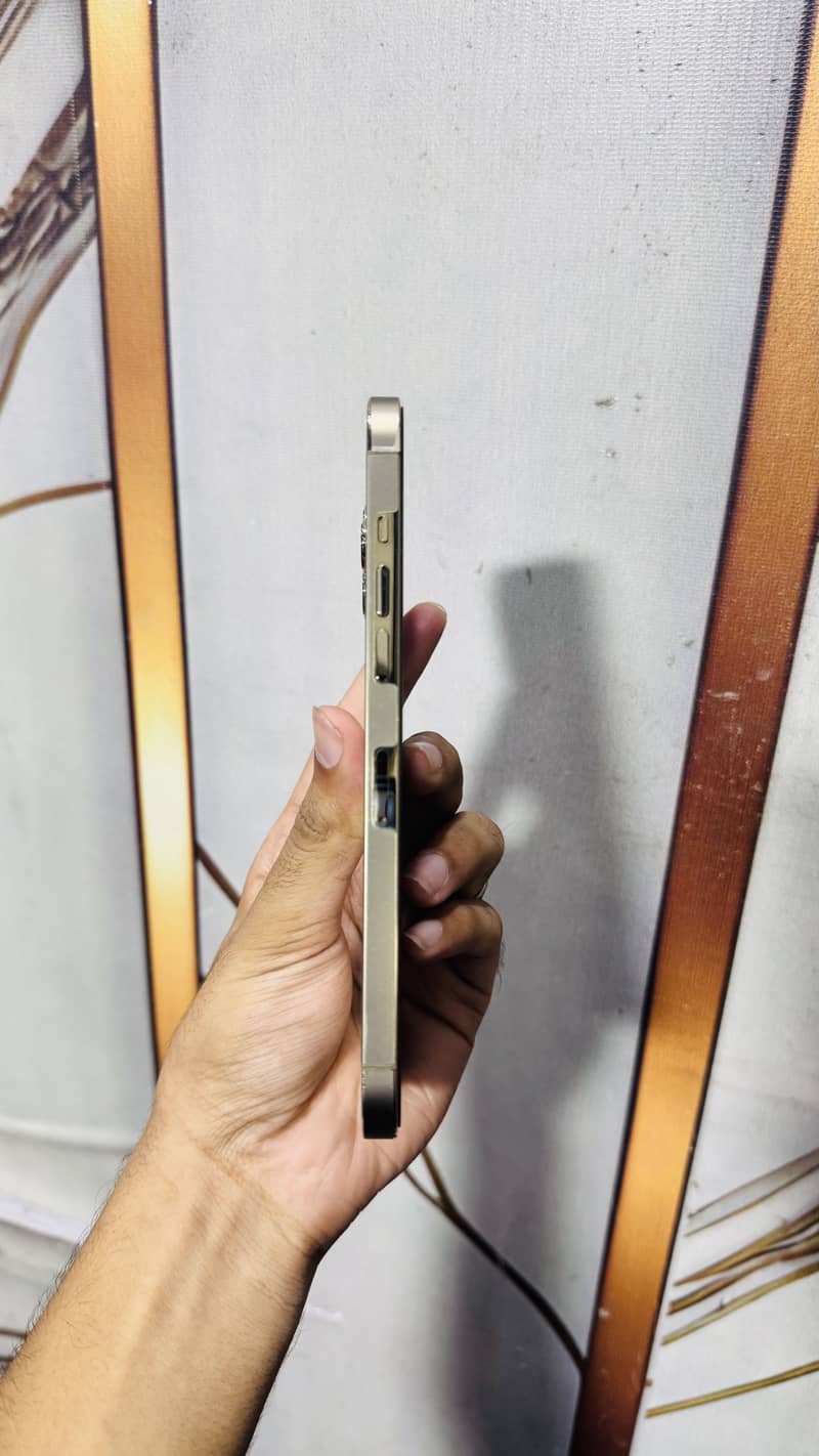 Apple iPhone 12 Pro Max 2
