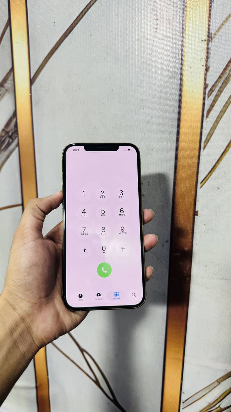 Apple iPhone 12 Pro Max 5