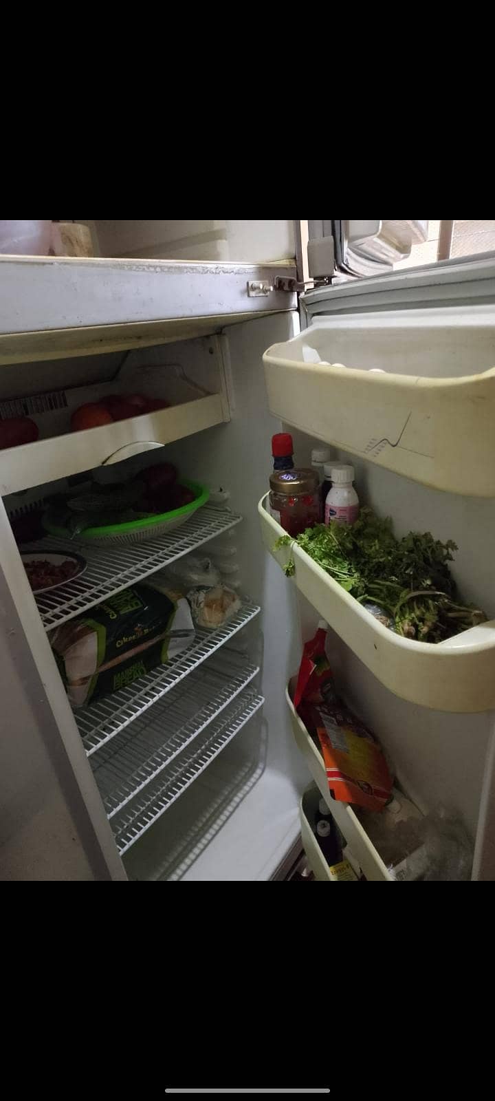 refrigerator 1