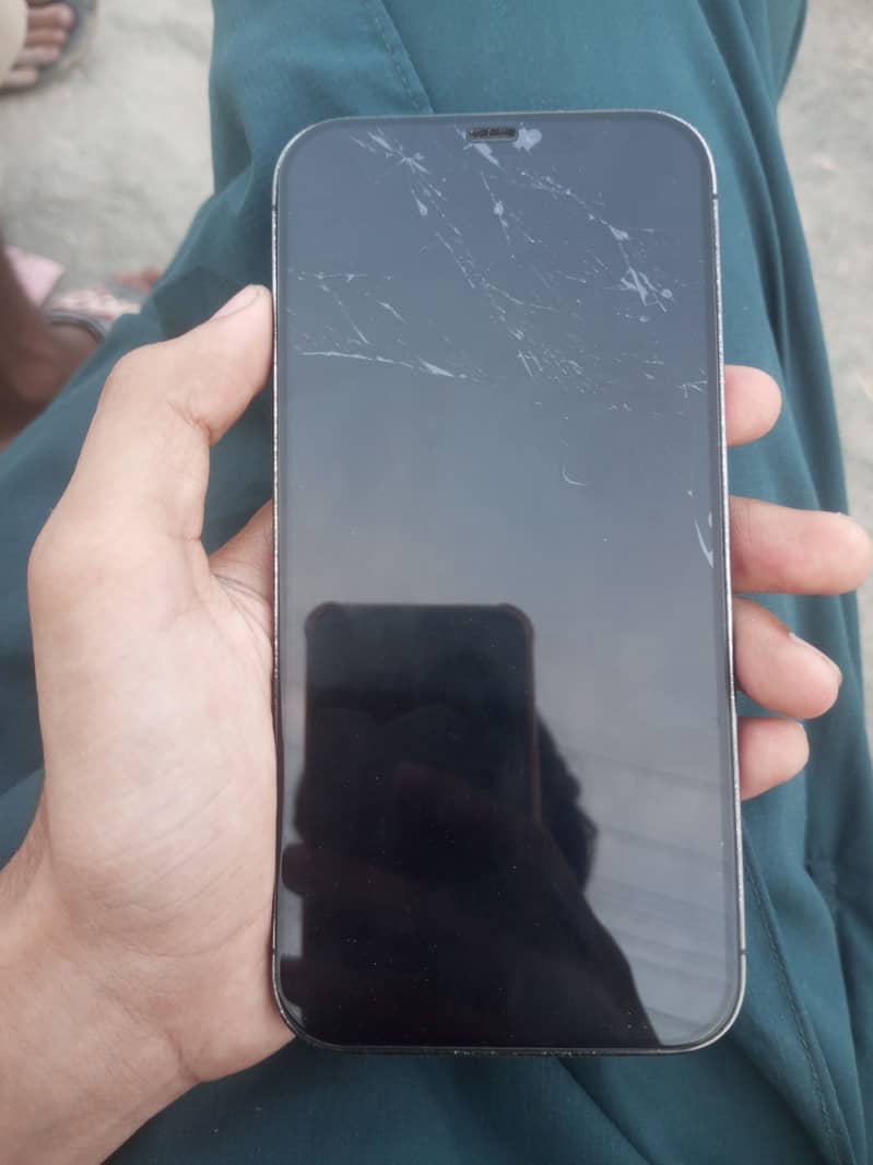 Apple iPhone 12 Pro Max 0