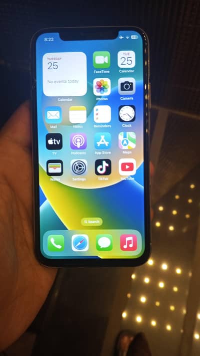 Apple iPhone X