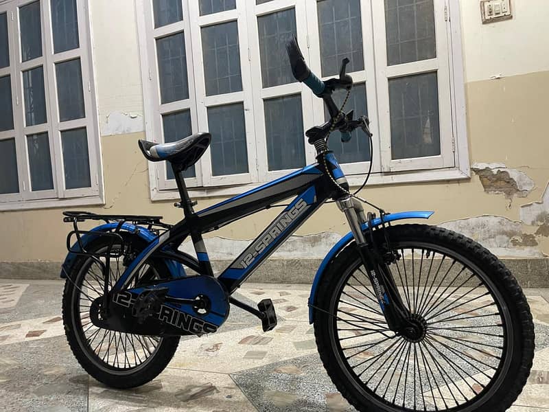 Imported Bicycle 1