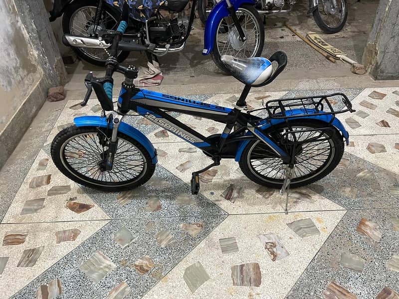 Imported Bicycle 2