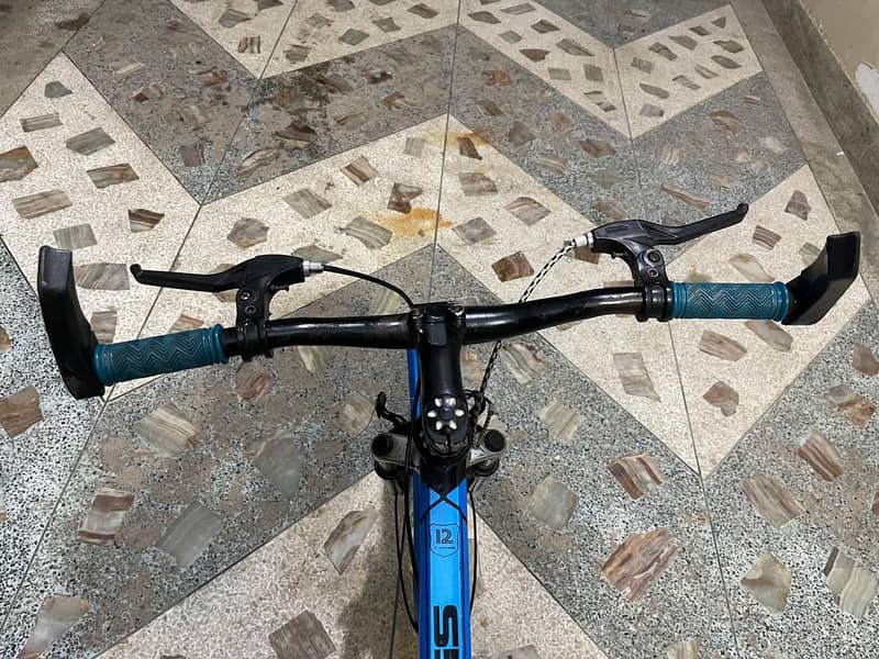 Imported Bicycle 3