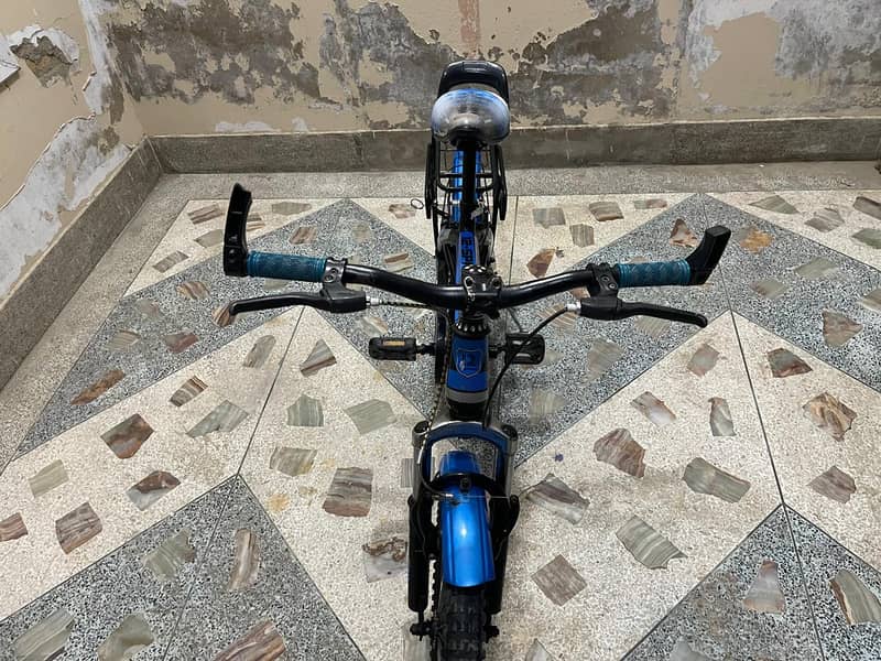 Imported Bicycle 4