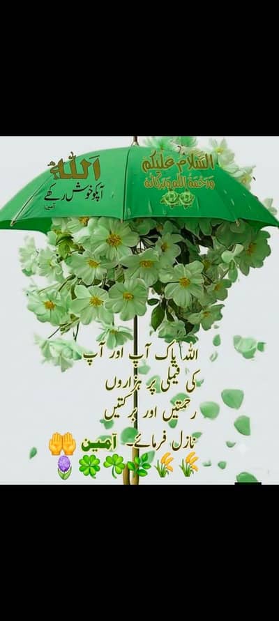 گھریلو کام کے لیے لڑکے کی ضرورت ہے۔