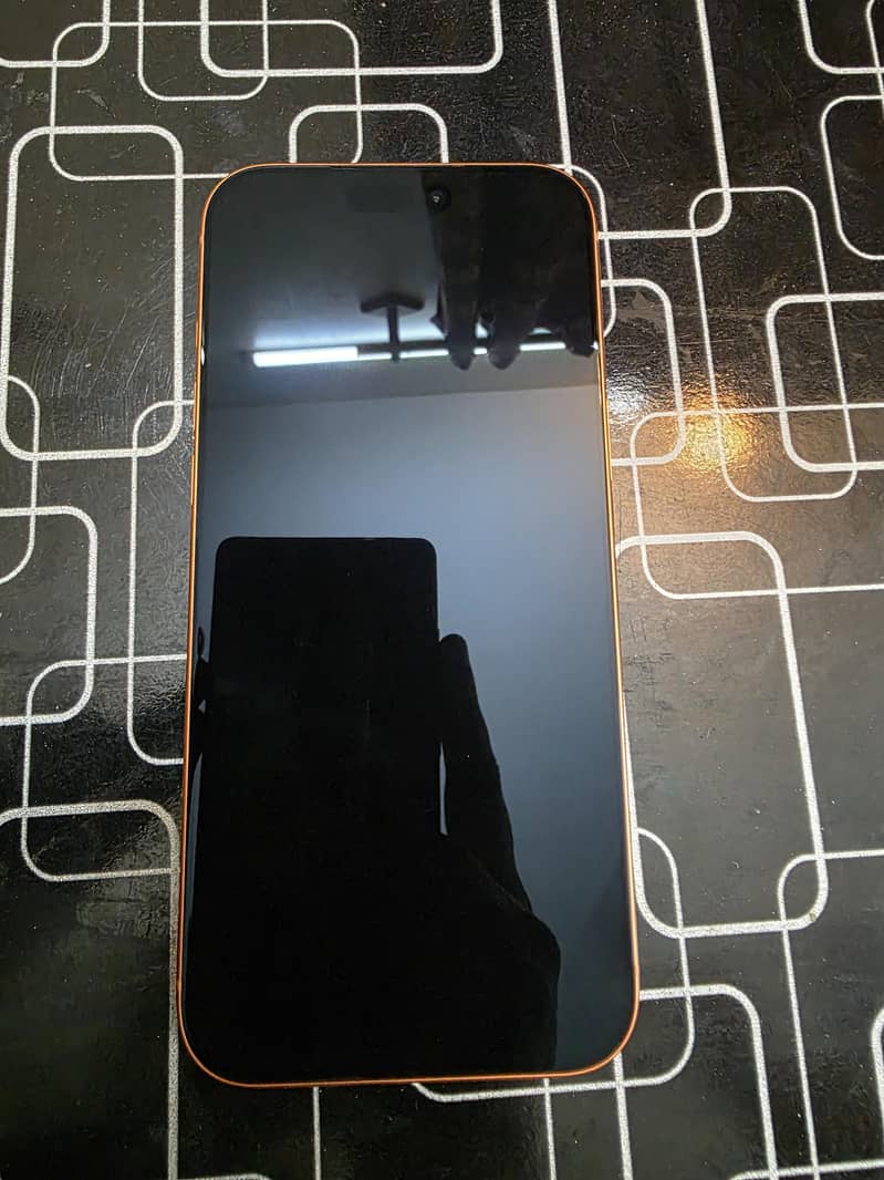 iPhone 17 Pro Max 1