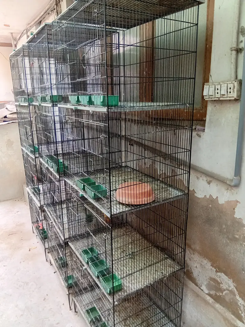 commercial cages like new — photo 2