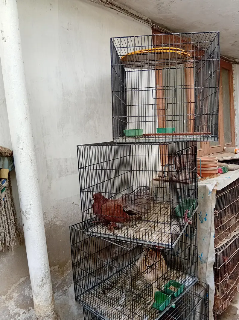 commercial cages like new — photo 4