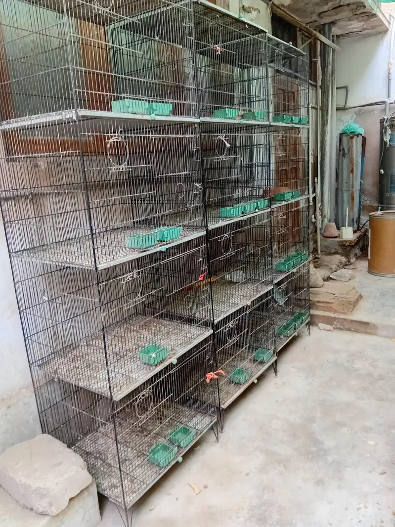commercial cages like new — photo 6