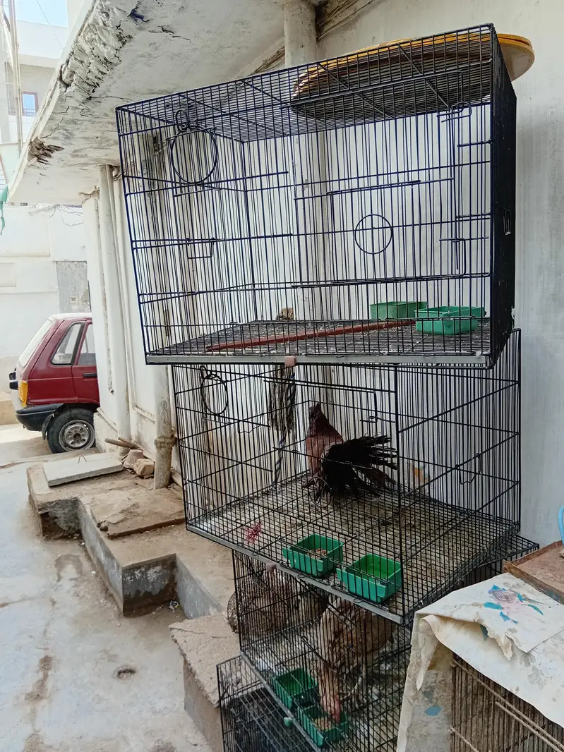 commercial cages like new — photo 7