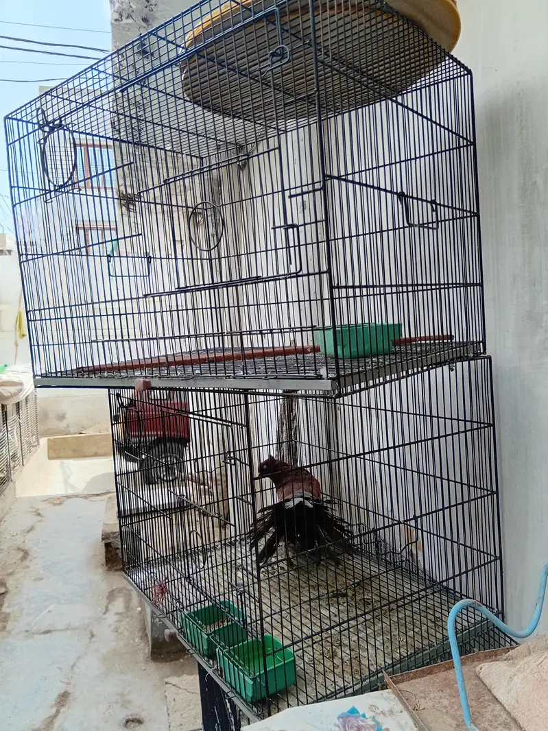 commercial cages like new — photo 8