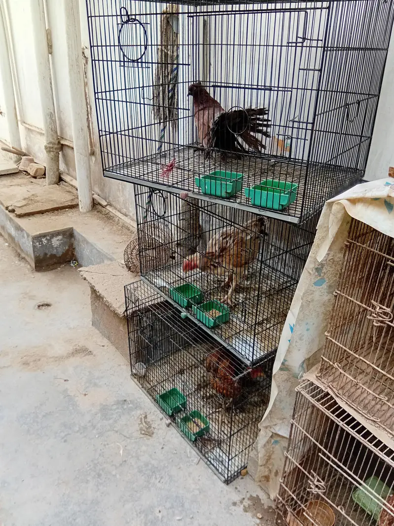 commercial cages like new — photo 9
