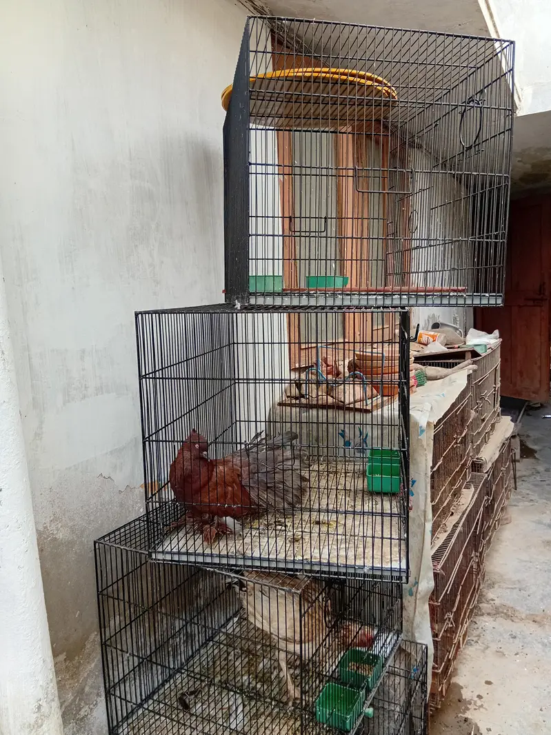 commercial cages like new — photo 10