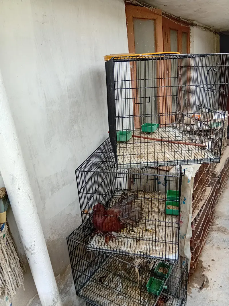 commercial cages like new — photo 11