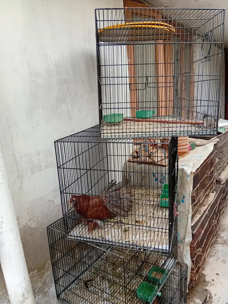 commercial cages like new — photo 12
