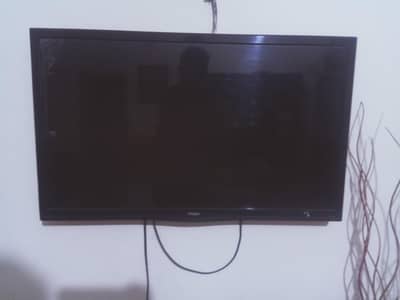 original Heier Led