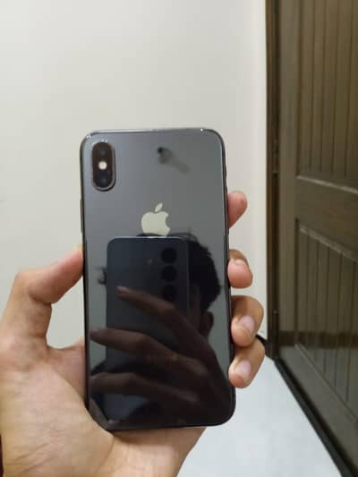 Apple iPhone X