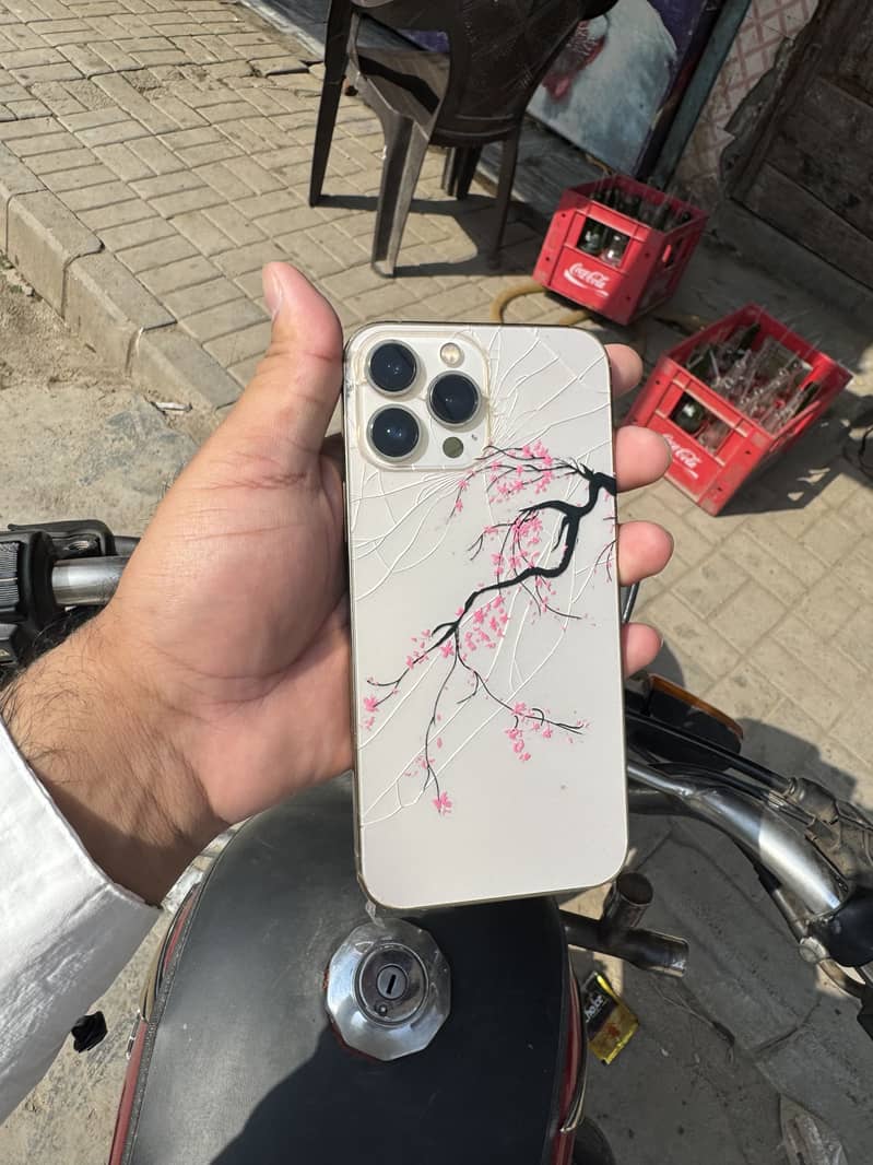 Apple iPhone 13 Pro Max 3