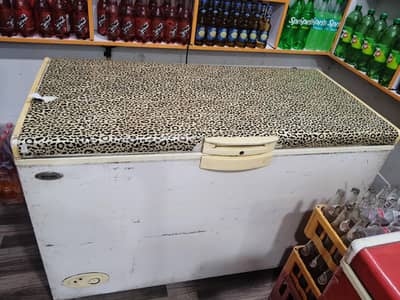 Deep Freezer Single Dour