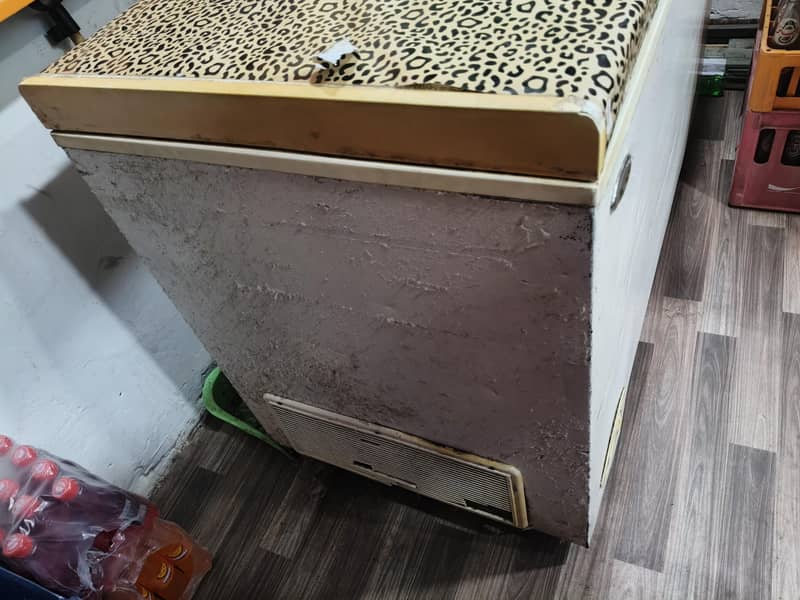 Deep Freezer Single Dour 2