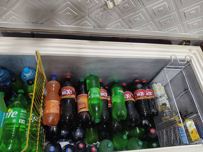 Deep Freezer Single Dour 3