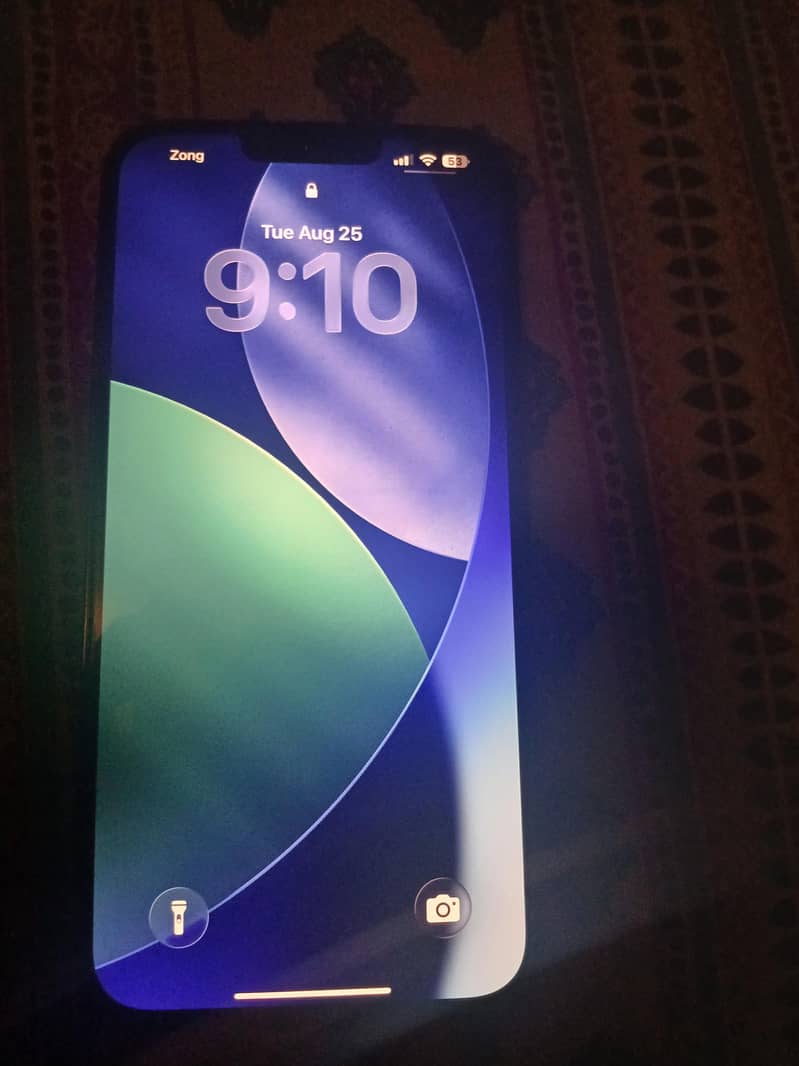 Apple iPhone 13 Pro Max 0