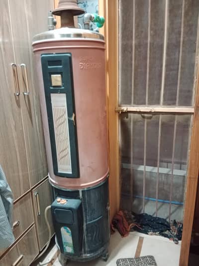 full size gas water geyser