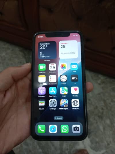 Apple iPhone 11