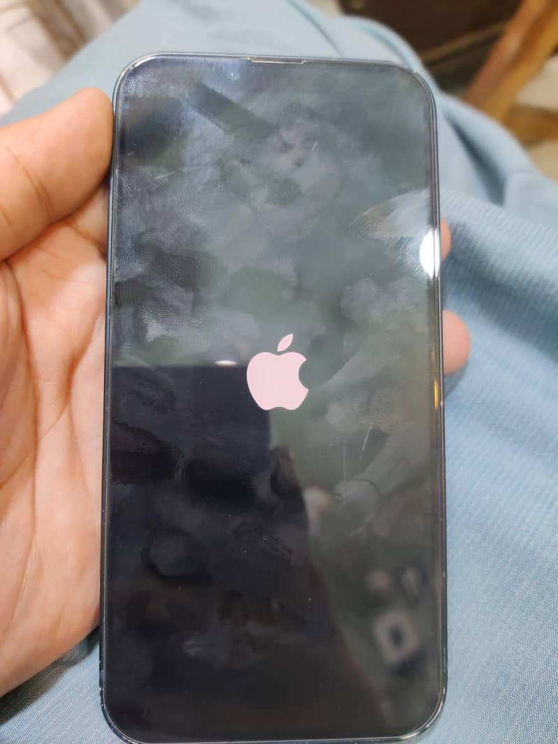 Apple iPhone 13 0