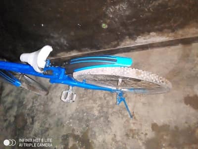 cycle condition 9/10 Phoenix mountain bike