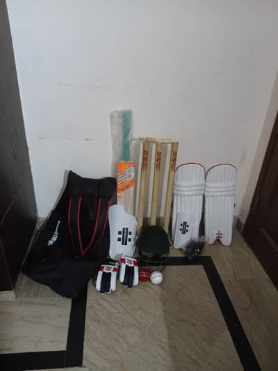 cricket kit with bat and spring wicket and 2 hard balls