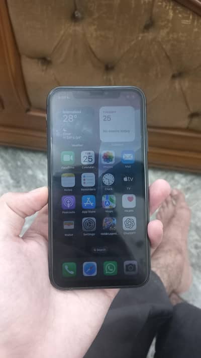 Apple iPhone 11