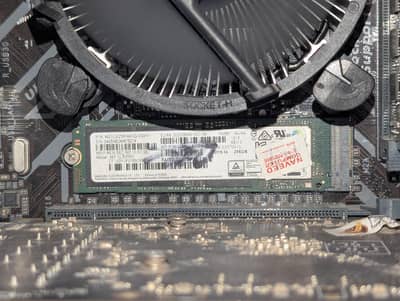 Samsung 256GB NVMe SSD Gen 3 - High Speed