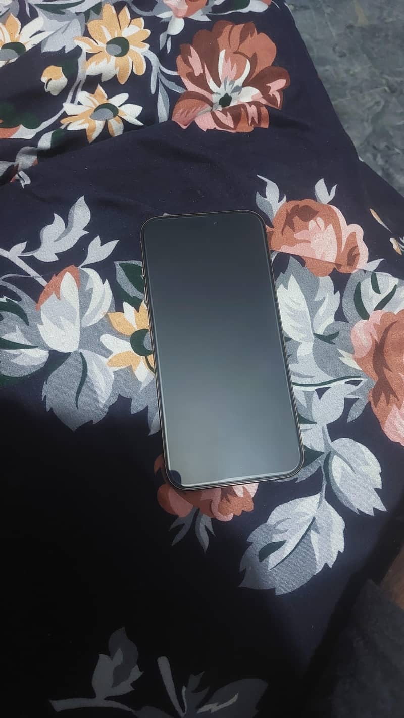 Apple iPhone 16 Pro Max 1