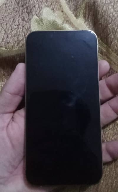 Apple iPhone 13 Pro