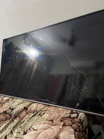 TCL lcd tv 55 inc”