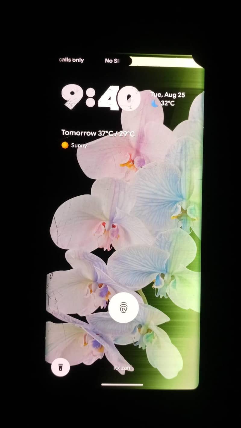 Google Pixel 6 Pro 2
