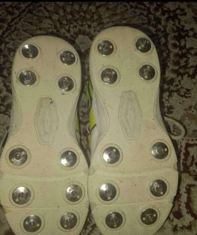 spikes