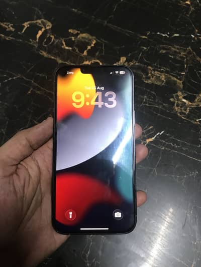 Apple iPhone 13 Pro Max