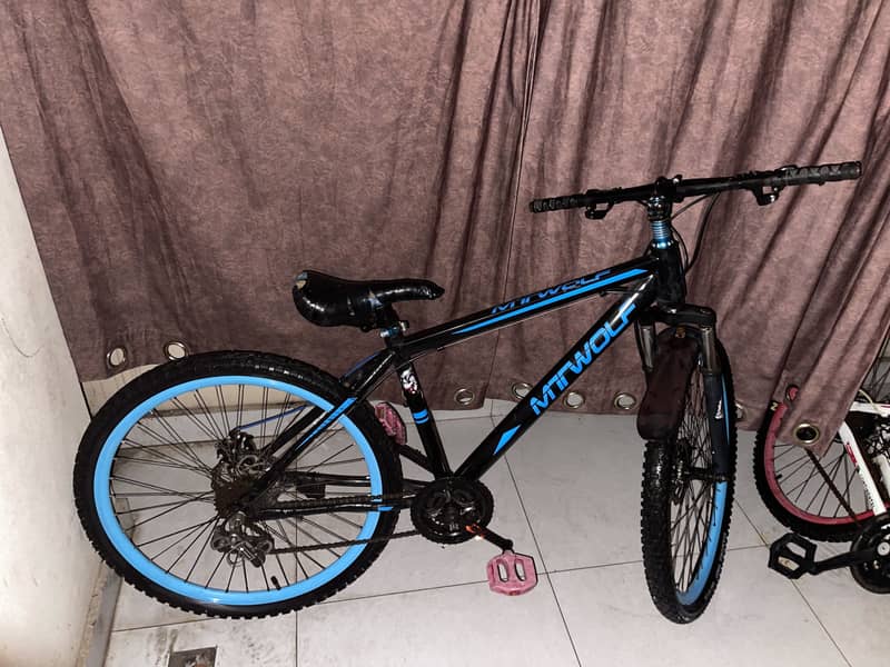 Mountain cycle 0