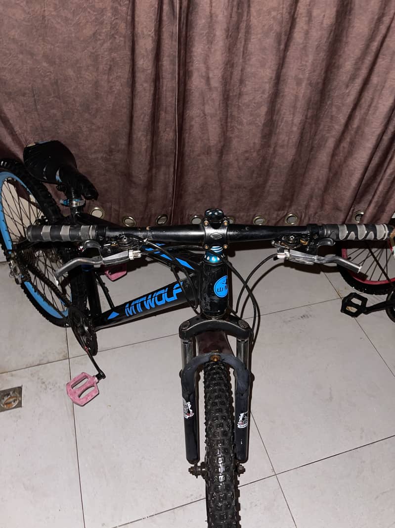 Mountain cycle 1