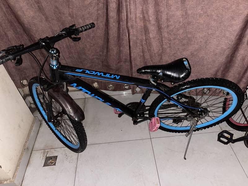 Mountain cycle 2